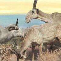 reddit-short-scary-story-creepypasta