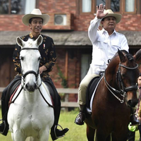 situasi-politik-memanas-jokowi-saya-pontang-panting-sampai-harus-naik-kuda