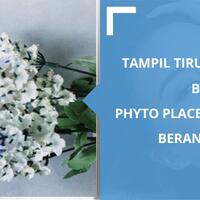 tampil-tirus--berseri-seri-berkat-phyto-placenta-hydro-mist-berani-coba-sis