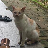 dear-diary--new-chapter---part-7