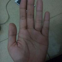 ramal-gratis-lewat-garis-tangan