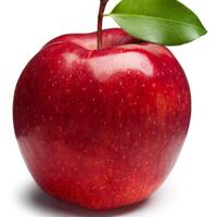 5-buah-yang-harus-anda-makan-untuk-kesehatan-ginjal