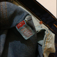 all-about-levis