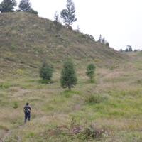 cilacap-lounge--sing-penting-guyub