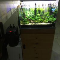 aquascape-for-everyone-learning-and-sharing---part-2