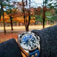 all-about-rolex