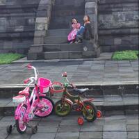 ternyata-magelang-punya-14--plus-satu--candi-cekidot