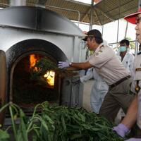 bebas-visa-jadi-celah-untuk-pekerja-asing-ilegal