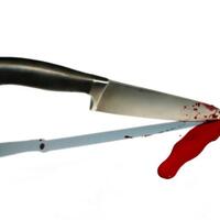 diduga-stres-pria-di-ntt-tusuk-7-siswa-sd