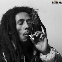 salon-avatar-forum-blp---part-2