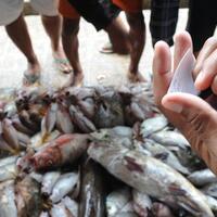 akademisi-puji-kebijakan-sektor-maritim-pemerintahan-jokowi-jk