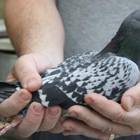 harga-8-benda-ini-akan-membuat-anda-terkejut