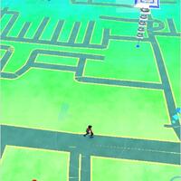 sharing-lokasi-tempat-menangkap-pokemon-dan-jenis-pokemonnya