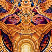 salon-avatar-forum-blp---part-2