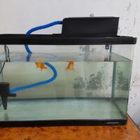 maskoki-ngomongin-semuanya-ttg-maskoki-yuk---part-5