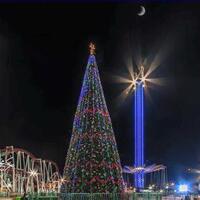 pengusaha-muslim-irak-jadi-perhatian-dunia-karena-bangun-pohon-natal-raksasa