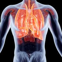 tanpa-7-bagian-tubuh-ini-manusia-tetap-bisa-hidup-normal-lho