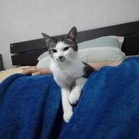 cuma-di-sini-terjebak-nostalgia-bareng-raisa-bisa-bawa-pulang-hadiah