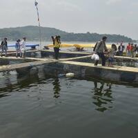 empat-terduga-teroris-di-purwakarta-bukan-warga-setempat