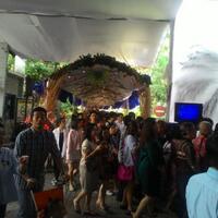 ribuan-umat-katolik-hadiri-misa-pontifikal-di-gereja-katedral