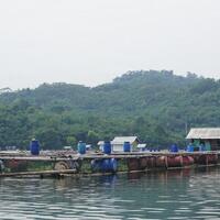 bupati-purwakarta-jika-waduk-jatiluhur-diledakkan-istana-presiden-terendam