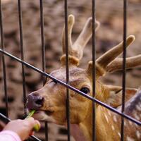 new-pendopo-sony-alpha---part-1