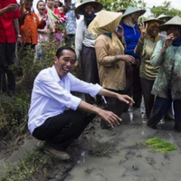 gara-gara-urung-lihat-jokowi-anak-kecil-ini-marahi-ayahnya