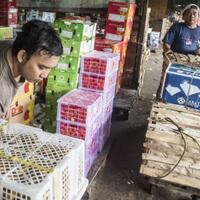 simalakama-kebijakan-proteksi-produk-lokal