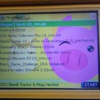 lounge-nds-maniac-sponsored--unity-in-diversity--faq-on-page-1---part-5