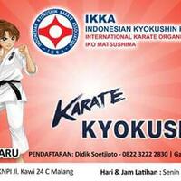 kyokushin-karate-26997304953135425163