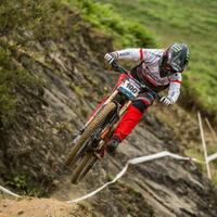 bds-umumkan-balapan-untuk-tahun-2017