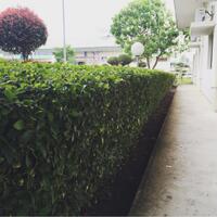 ijepret---share-your-moment-here