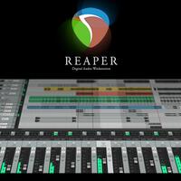 reborn--professional-software-for-musician