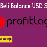 changer-and-ib-forex--profitlagicom