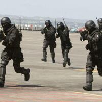 ulah--curut--yang-berbuntut-penangguhan-kerja-sama