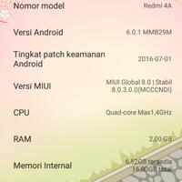 official-lounge-redmi-4a---4---4-prime--the-long-life-light-compact-mobile-phone