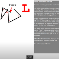 spatial-orientation-line-test