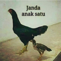 janda-anak-satu