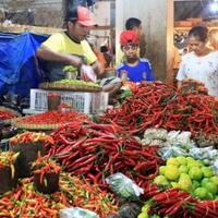 harga-cabai-melonjak-siapa-untung