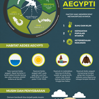 alasandbd-meningkat-jelang-musim-hujan