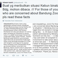 duh-beruang-kurus-di-kebun-binatang-bandung-jadi-perhatian-dunia