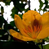 android-photography----part-1