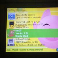 lounge-nds-maniac-sponsored--unity-in-diversity--faq-on-page-1---part-5