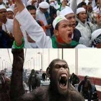 pesan-berantai-seruan-jihad-dan-bersiap-perang-jelang-pemeriksaan-habib-rizieq