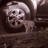 diskusi-kamar-gelap-film-bw---part-2