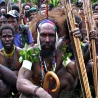 data-bps-penduduk-asli-jadi-minoritas-di-5-wilayah-papua