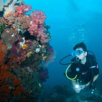 tips-menjadi-model-scuba