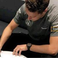 formula-1---grand-prix-season-2017