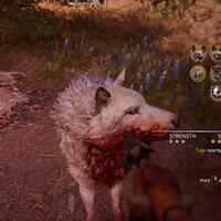 official-thread-far-cry-primal--quotwelcome-to-stone-agequot