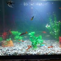 filter-ask-n-sharing---part-1